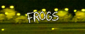 Send me Frogs